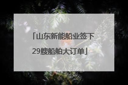 山东新能船业签下29艘船舶大订单