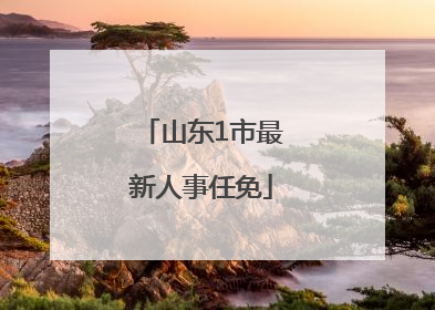 山东1市最新人事任免