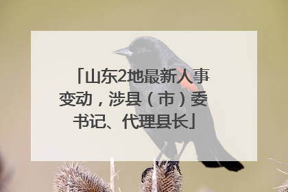 山东2地最新人事变动，涉县（市）委书记、代理县长