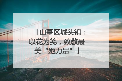 山亭区城头镇：以花为笺，致敬最美“她力量”