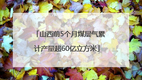 山西前5个月煤层气累计产量超60亿立方米