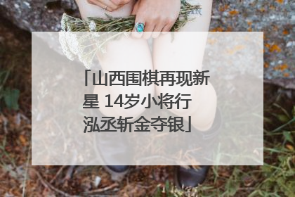 山西围棋再现新星 14岁小将行泓丞斩金夺银