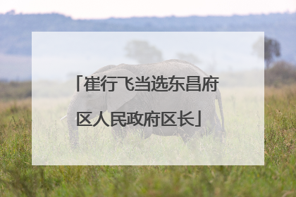 崔行飞当选东昌府区人民政府区长