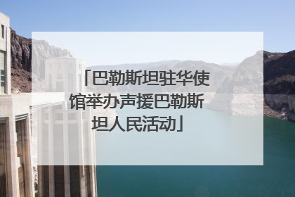 巴勒斯坦驻华使馆举办声援巴勒斯坦人民活动