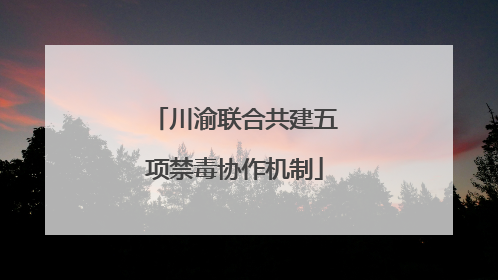 川渝联合共建五项禁毒协作机制