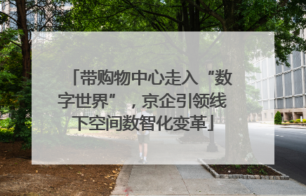 带购物中心走入“数字世界”，京企引领线下空间数智化变革