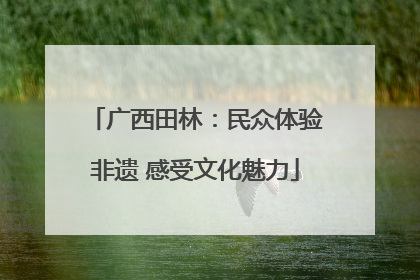 广西田林：民众体验非遗 感受文化魅力