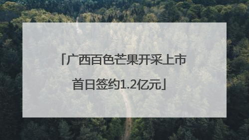 广西百色芒果开采上市 首日签约1.2亿元