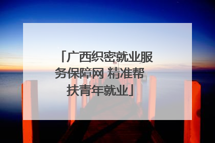 广西织密就业服务保障网 精准帮扶青年就业