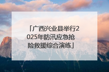 广西兴业县举行2025年防汛应急抢险救援综合演练