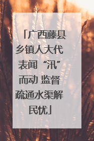 广西藤县乡镇人大代表闻“汛”而动 监督疏通水渠解民忧