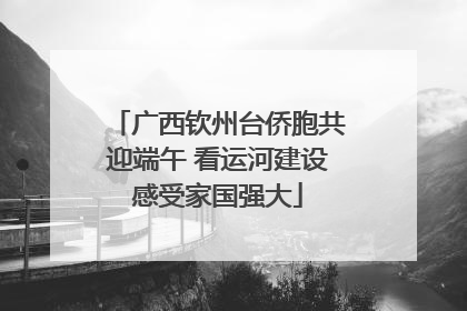 广西钦州台侨胞共迎端午 看运河建设感受家国强大