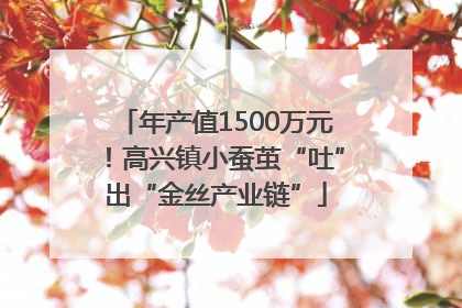 年产值1500万元！高兴镇小蚕茧“吐”出“金丝产业链”