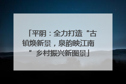 平阴：全力打造“古镇焕新景，泉韵映江南”乡村振兴新图景