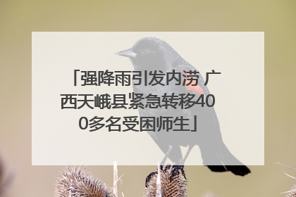 强降雨引发内涝 广西天峨县紧急转移400多名受困师生