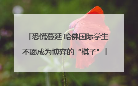 恐慌蔓延 哈佛国际学生不愿成为博弈的“棋子”
