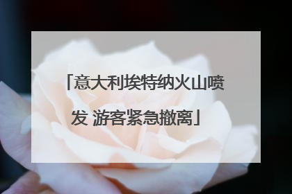 意大利埃特纳火山喷发 游客紧急撤离
