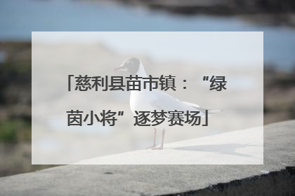 慈利县苗市镇：“绿茵小将”逐梦赛场
