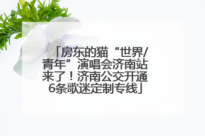 房东的猫“世界/青年”演唱会济南站来了！济南公交开通6条歌迷定制专线