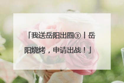 我送岳阳出圈③丨岳阳烧烤，申请出战！