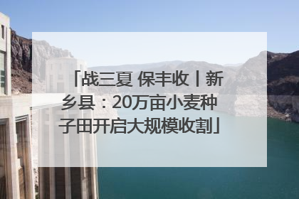 战三夏 保丰收丨新乡县：20万亩小麦种子田开启大规模收割