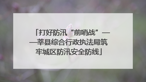 打好防汛“前哨战”——莘县综合行政执法局筑牢城区防汛安全防线