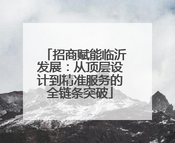 招商赋能临沂发展：从顶层设计到精准服务的全链条突破
