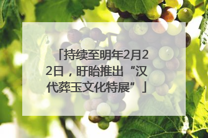 持续至明年2月22日，盱眙推出“汉代葬玉文化特展”