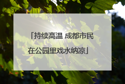 持续高温 成都市民在公园里戏水纳凉