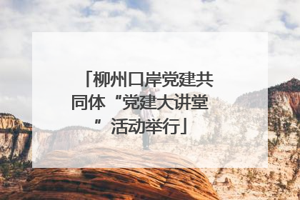 柳州口岸党建共同体“党建大讲堂”活动举行