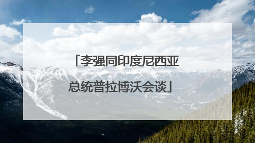 李强同印度尼西亚总统普拉博沃会谈