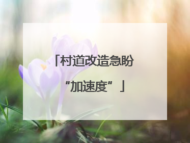 村道改造急盼“加速度”