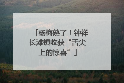杨梅熟了！钟祥长滩镇收获“舌尖上的惊喜”