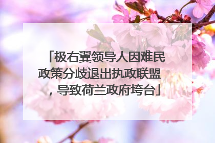 极右翼领导人因难民政策分歧退出执政联盟，导致荷兰政府垮台