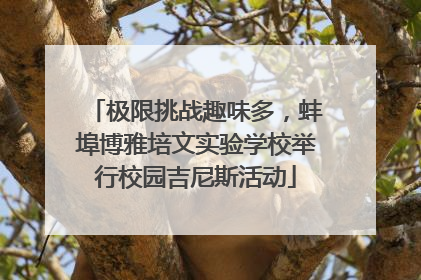 极限挑战趣味多，蚌埠博雅培文实验学校举行校园吉尼斯活动