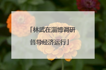 林武在淄博调研督导经济运行