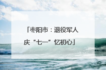 枣阳市：退役军人庆“七一”忆初心