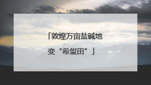敦煌万亩盐碱地变“希望田”