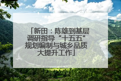新田：陈雄到基层调研指导“十五五”规划编制与城乡品质大提升工作