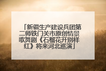 新疆生产建设兵团第二师铁门关市原创情景歌舞剧《石榴花开别样红》将来河北巡演