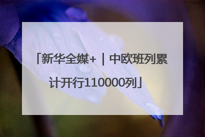 新华全媒+｜中欧班列累计开行110000列