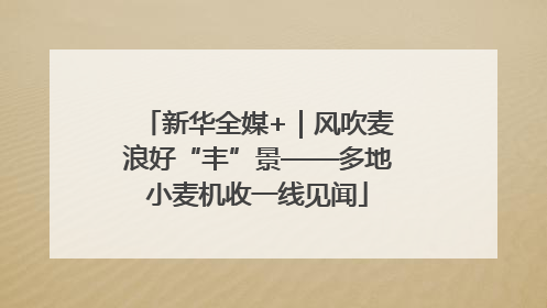 新华全媒+｜风吹麦浪好“丰”景——多地小麦机收一线见闻