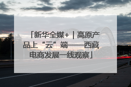 新华全媒+｜高原产品上“云”端——西藏电商发展一线观察