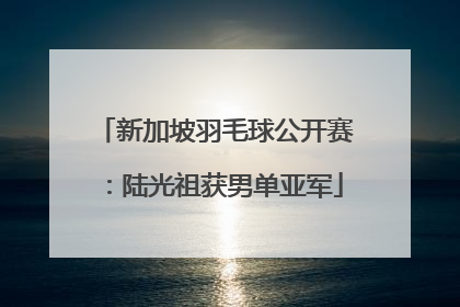 新加坡羽毛球公开赛：陆光祖获男单亚军
