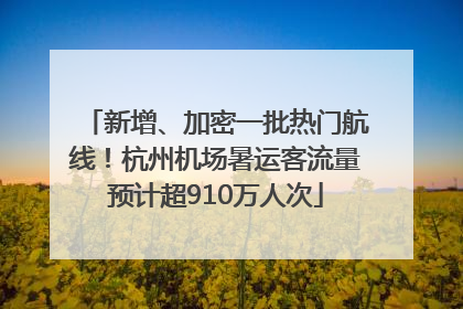新增、加密一批热门航线！杭州机场暑运客流量预计超910万人次