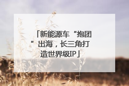 新能源车“抱团”出海，长三角打造世界级IP