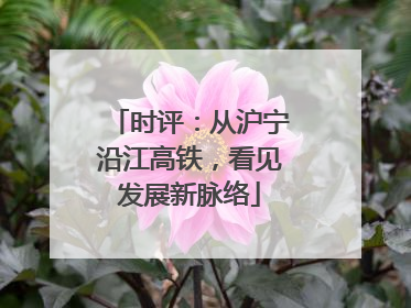 时评：从沪宁沿江高铁，看见发展新脉络