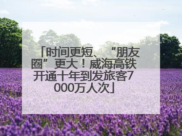 时间更短、“朋友圈”更大！威海高铁开通十年到发旅客7000万人次