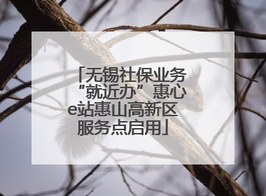 无锡社保业务“就近办”惠心e站惠山高新区服务点启用