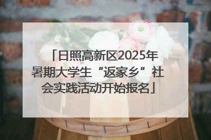 日照高新区2025年暑期大学生“返家乡”社会实践活动开始报名